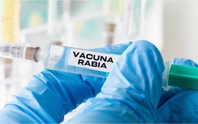 Capacitación de Vacunación Antirrábica Humana