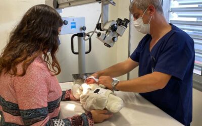 Siete pacientes del Materno Infantil recuperan audición gracias a implantes cocleares