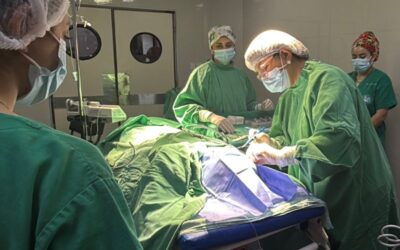 Diez niños y niñas de Salta mejoran su audición gracias a implantes osteointegrados auditivos realizados en el HPMI