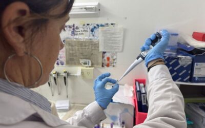 En el hospital Materno Infantil validaron un kit para detectar el Chagas en recién nacidos