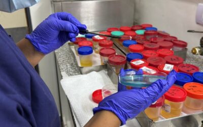 El Laboratorio de Microbiología del HPMI procesó más de 17.800 muestras y fortaleció la vigilancia de infecciones en la provincia