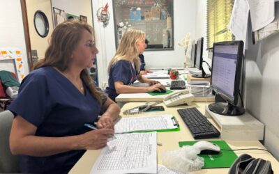 La Unidad de Nutrición del Materno Infantil registró un intenso trabajo en el primer semestre 2026