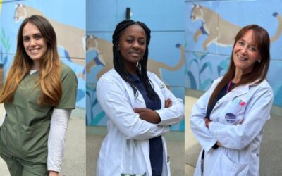 El Hospital Materno Infantil consolida su liderazgo científico: sus investigadoras lograron las únicas tres Becas de la Fundación Williams otorgadas a Salta